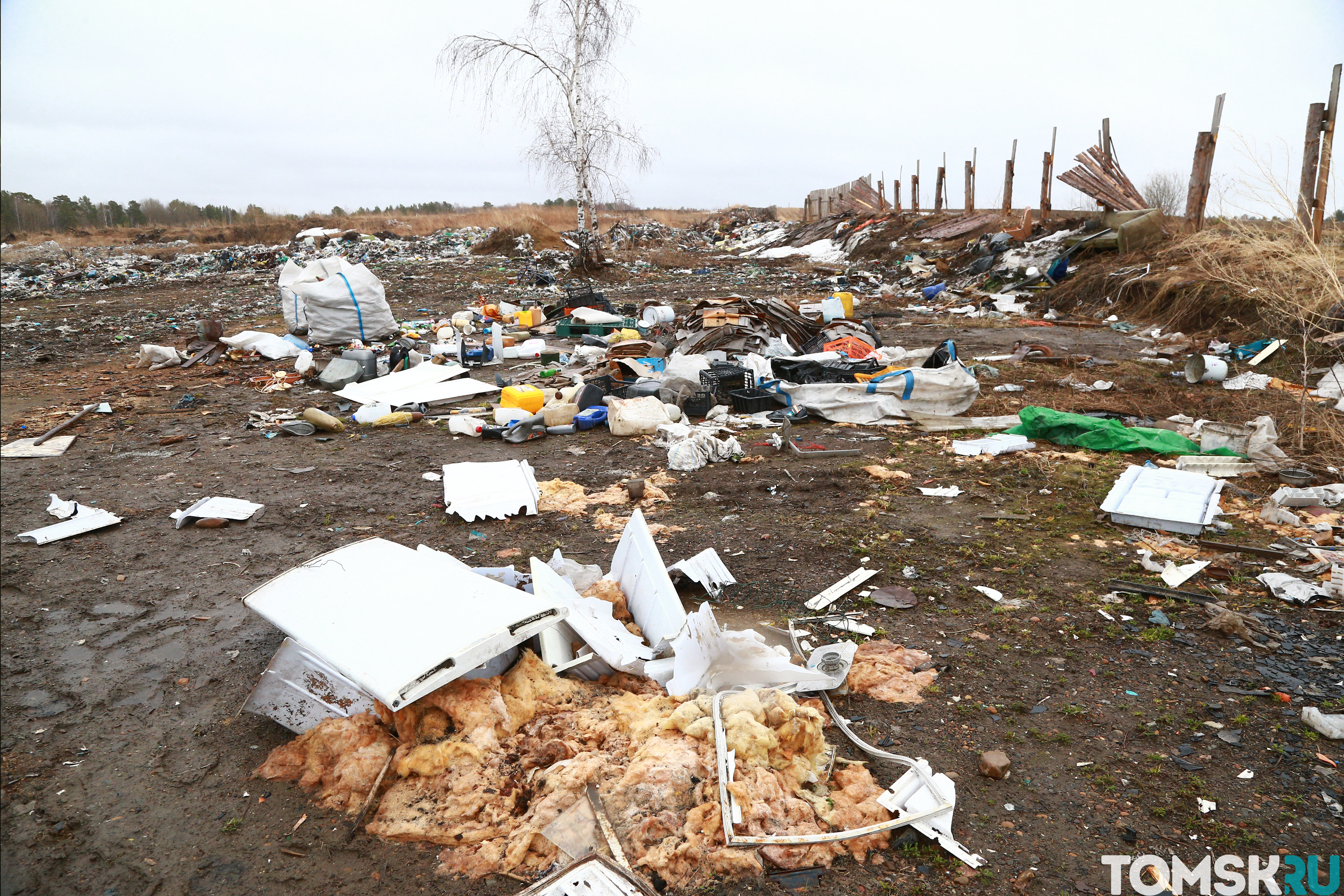 Спасти жителей Батурина от мусора сможет только региональный оператор —  TOMSK.RU