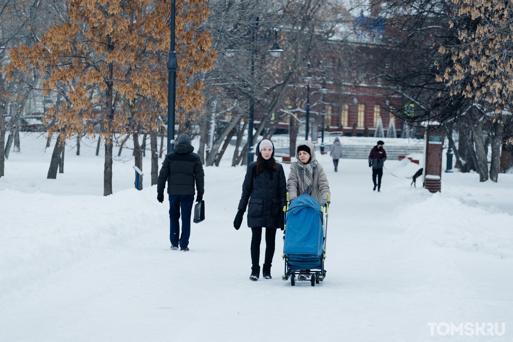 Температура томск