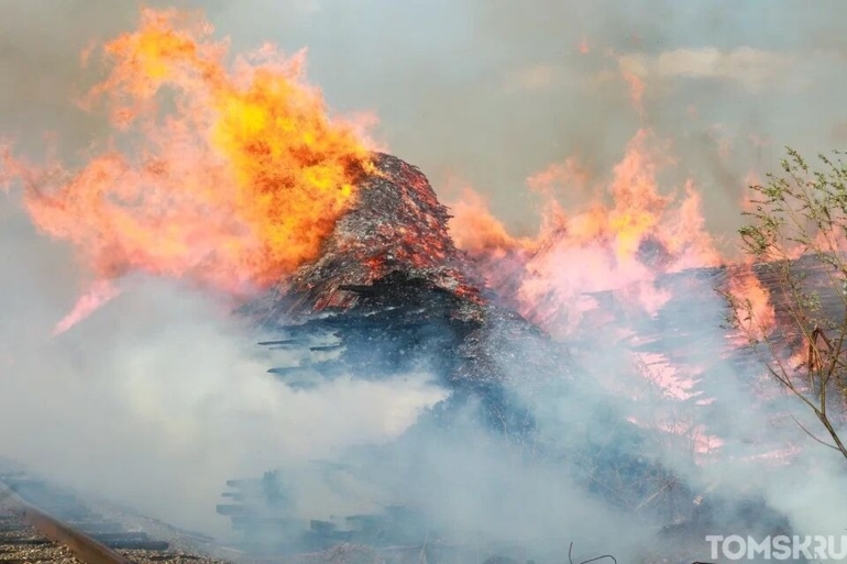 Фото лесных пожаров в сибири