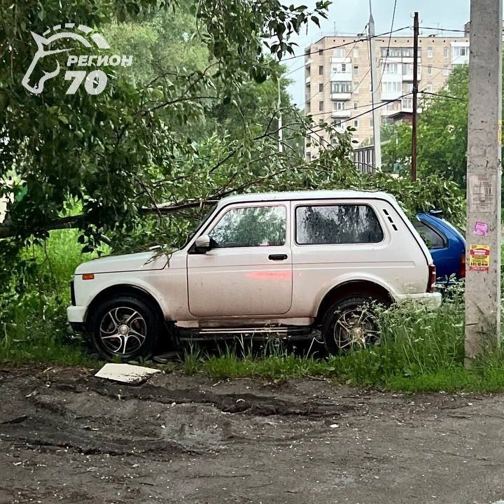 Несколько авто пострадали от упавших деревьев во время грозы в Томске