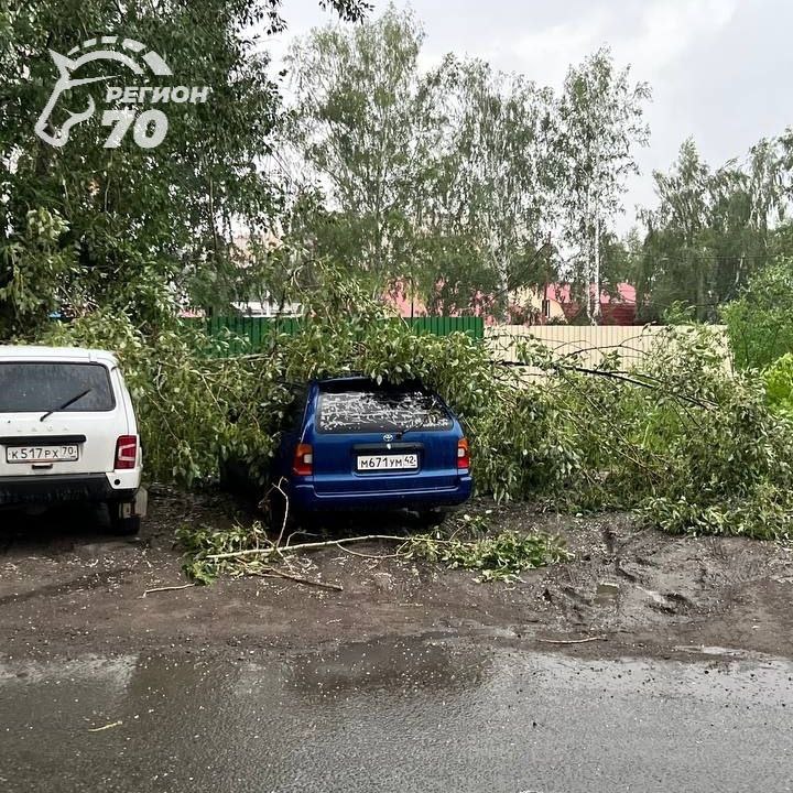 Несколько авто пострадали от упавших деревьев во время грозы в Томске