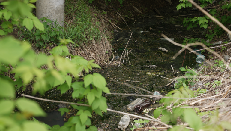 Томичи десять лет терпят запах сточных вод у своих домов на Степановке