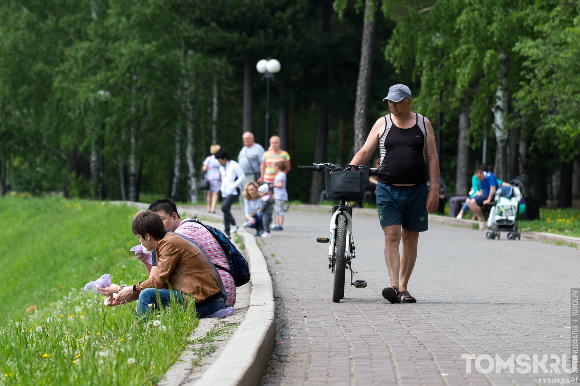 Число поливальных машин в Томске увеличат в 2,5 раза • TOMSK.RU