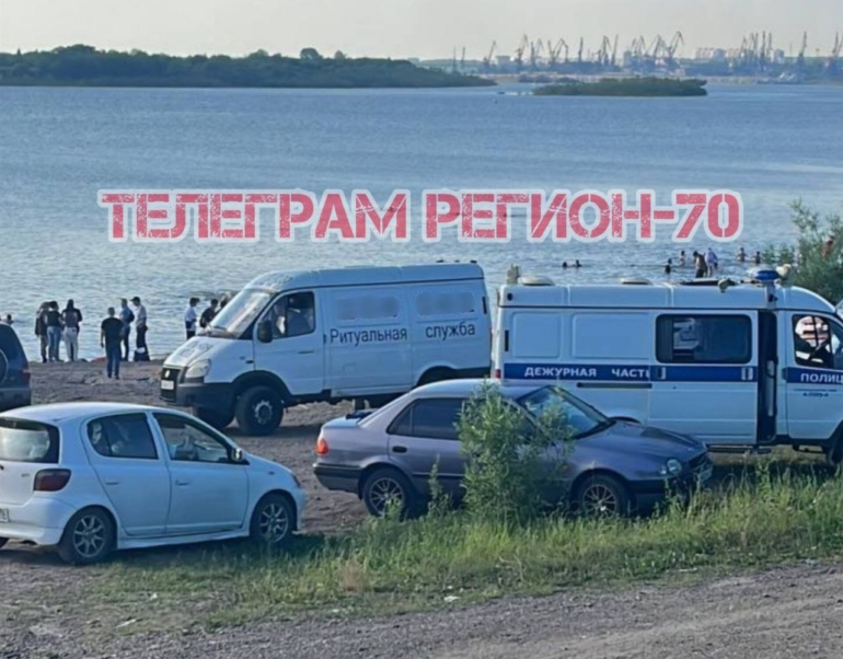 «Ремонта на 70 тысяч»: бездомные собаки «изуродовали» автомобиль тюменца, бегая за кошкой. ВИДЕО