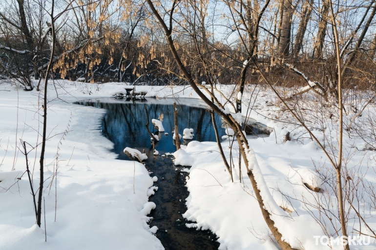 Люди, события и интересные ракурсы: показываем лучшие фотографии Tomsk.ru