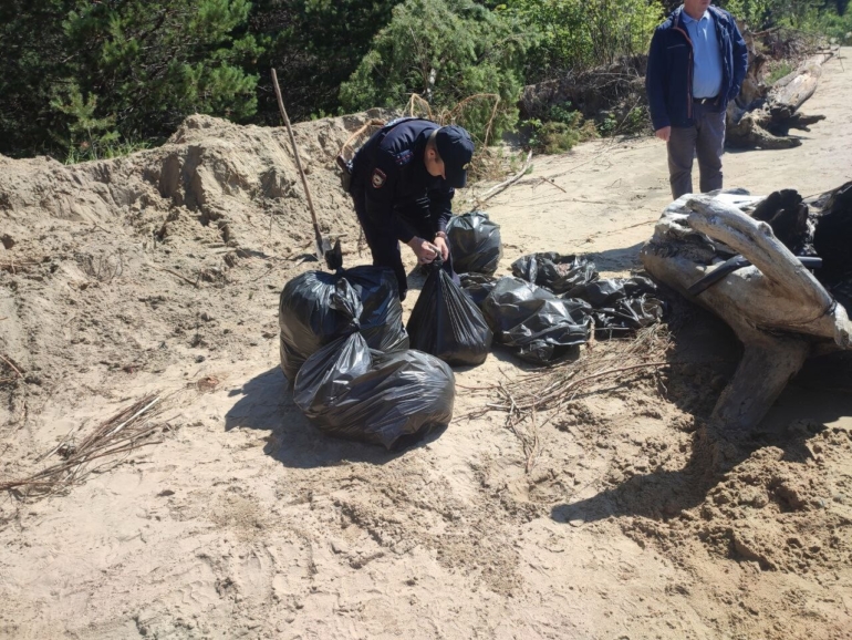 Порядка 500 пробирок с кровью нашли на берегу реки в Томской области