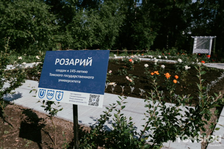 Краски лета: в ботсаду Томска зацвели розы