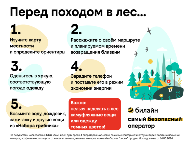 Безопасность в лесу: 5 правил для томских грибников от билайн и «ЛизаАлерт»