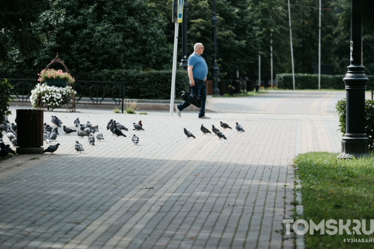 Прогулки, дела и улыбки: как томичи провожают последние недели лета