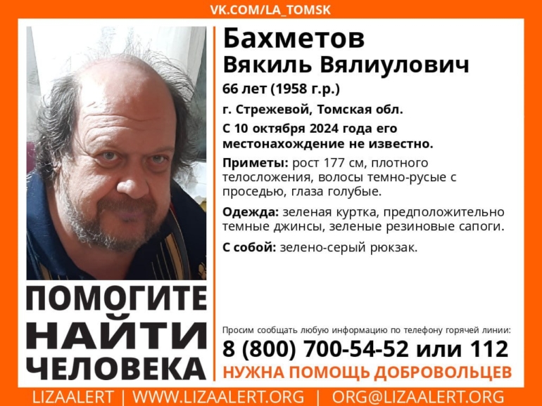 Поисковики ищут 66-летнего мужчину, пропавшего в Томской области