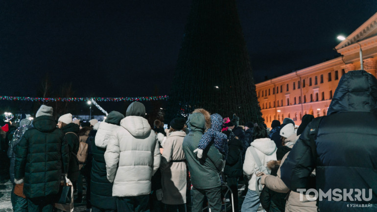 Новогодние огни загорелись на главной елке Томска