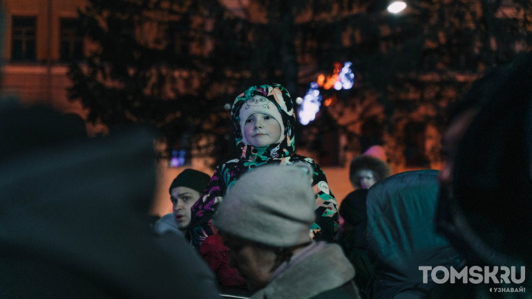 Новогодние огни загорелись на главной елке Томска