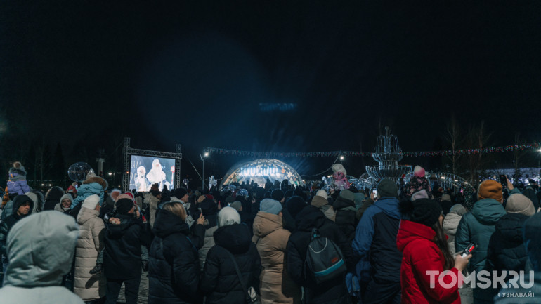 Новогодние огни загорелись на главной елке Томска