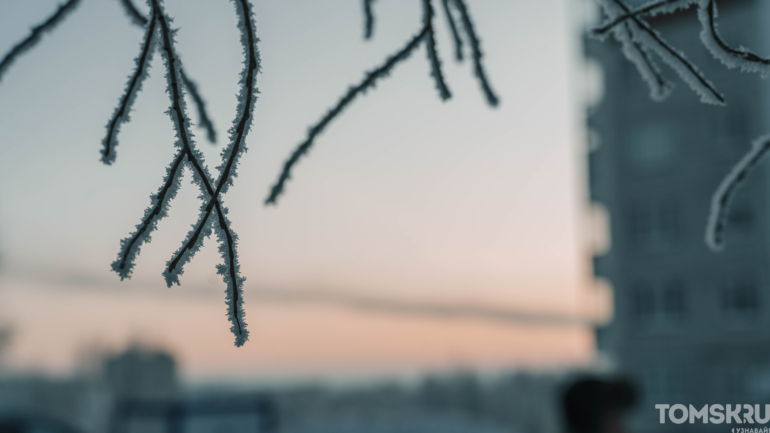 Холодно и красиво: атмосферный фоторепортаж Tomsk.ru в последнюю неделю года